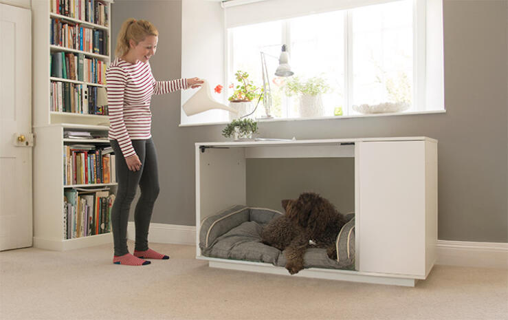The Omlet Fido Nook looks so great, you'll want to make it the focal point of your home.