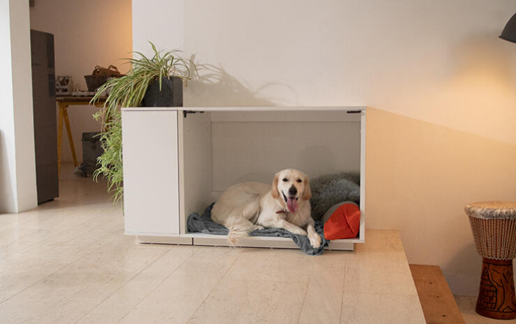 Bieten Sie Ihrem Hund seinen eigenen Bereich, mit der Fido Nook Hundehütte für den Innenbereich