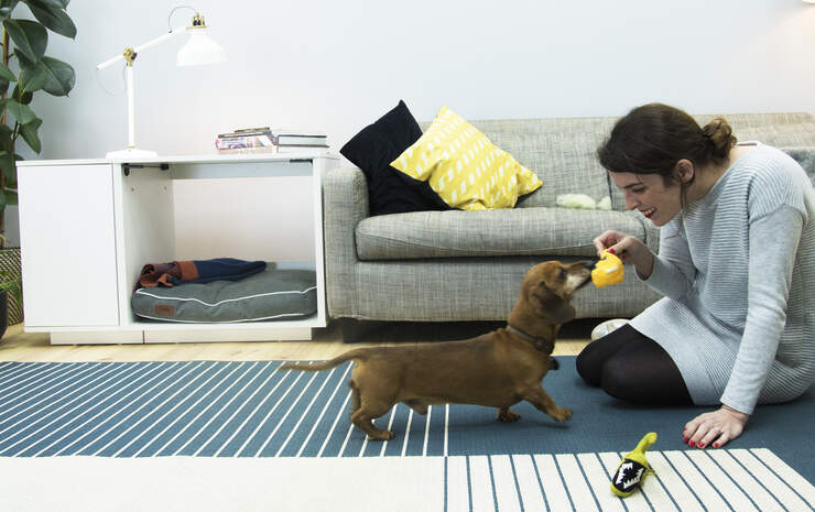 Het is aangetoond dat het geven van een eigen ruimte aan uw hond, zoals de Omlet Fido Nook , zijn zelfvertrouwen en zijn algemene gedrag verbetert.