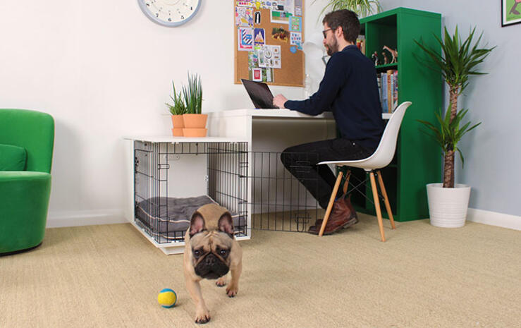 The second door at the front allows your Omlet Fido Studio box to fit into any area.
