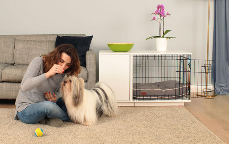 Du og din hund vil blive glade for din Fido Studio hundekasse.