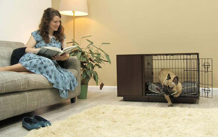 La cassa per cani Fido Studio è disponibile in bianco e noce per abbinarsi al tuo interno.