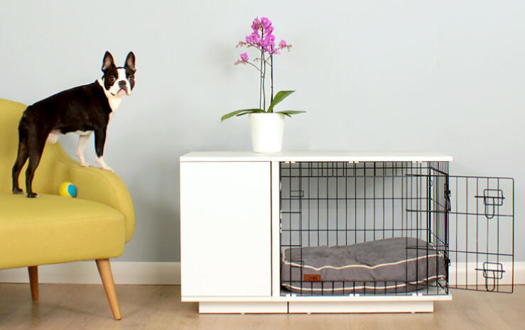 Votre chien sera fier d'avoir sa niche contemporaine Omlet Fido Studio !