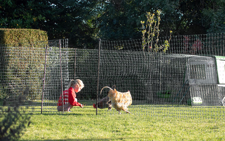 Omlet Green Eglu Cube Large Chicken Coop and Run with Child and Chickens and Omlet Chicken Fence