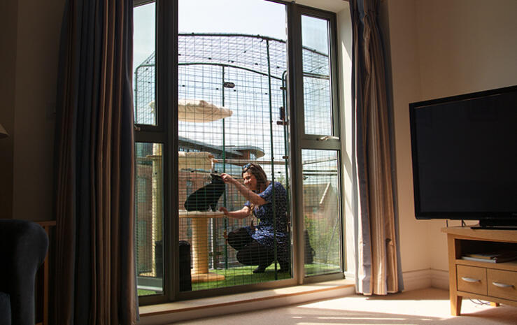 a woman playing with her cat in a walk in run set up on a balcony