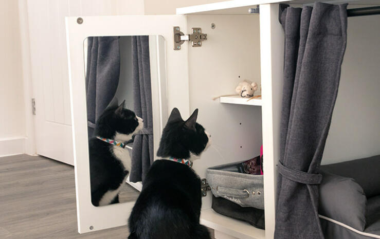 Har katten din for vane å finne frem pakken med godbiter, selv når du er ute av huset? Maya Nooks garderobe er en praktisk (og sikker!) lagringsplass