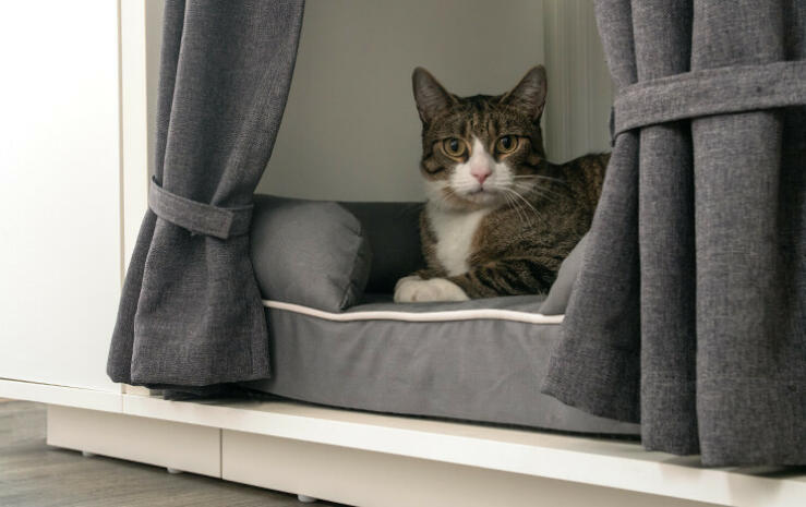 Eftersom sängen är placerad ovanför golvet skyddar Maya Nook din katt från otrevliga drag