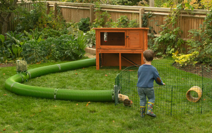 Ein kind spielt mit meerschweinchen im laufstall