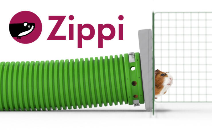 a guinea pig running down a green zippi tunnel to an animal run