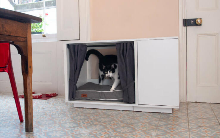 Siden kattesengen kan fjernes fra Maya Nook møbelet er det veldig lett å rengjøre. Hvorfor ikke skjemme bort katten din med denne drømmen av en katteseng?