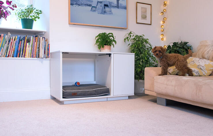 The subtle yet captivating design of the Omlet Fido Nook suits both modern and traditional interiors.