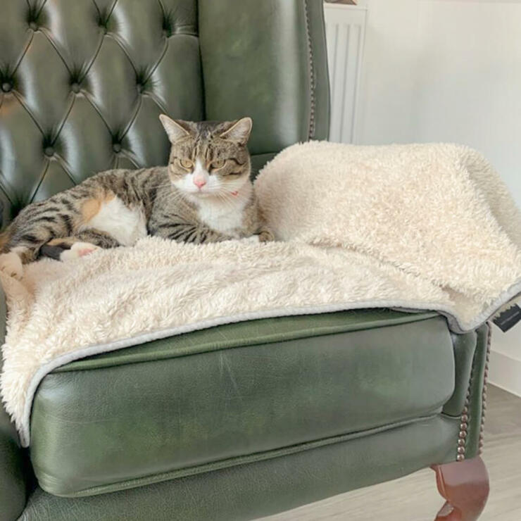 Ihre Katze wird es es lieben, sich auf dieser luxuriösen superweichen Decke für ein langes Nachmittagsschläfchen niederzulassen.