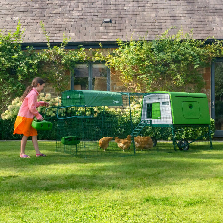 young girl feeding hens in a green cube chicken coop with a run and cover