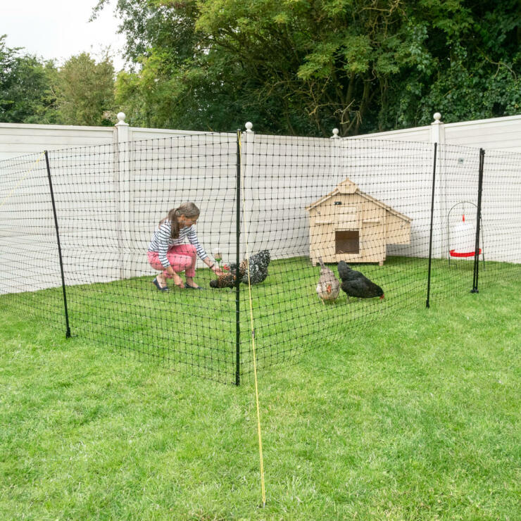 Ce grand poulailler héberge jusqu’à 12 poules et peut être déplacé dans le jardin si vos poules ont besoin d’un nouveau coin à picorer.