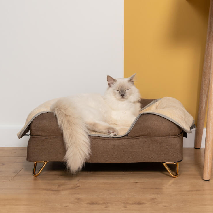 Uroczy biały puszysty kot szczęśliwie śpiący na mokka brown Maya donut cat bed with Gold hairpin feed and a Luxury super soft cat blanket