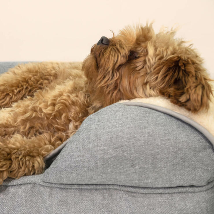 Upgrade your dog’s bed with a warm, super soft blanket they will love.