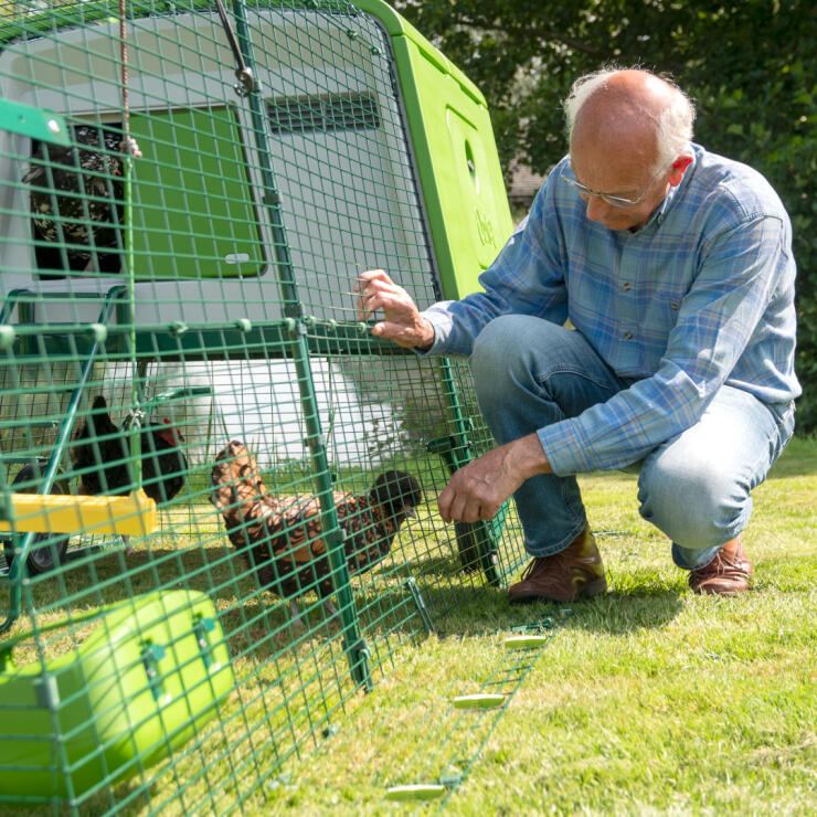 Man Checking run of Omlet Green Eglu Cube Large Chicken Coop and Run