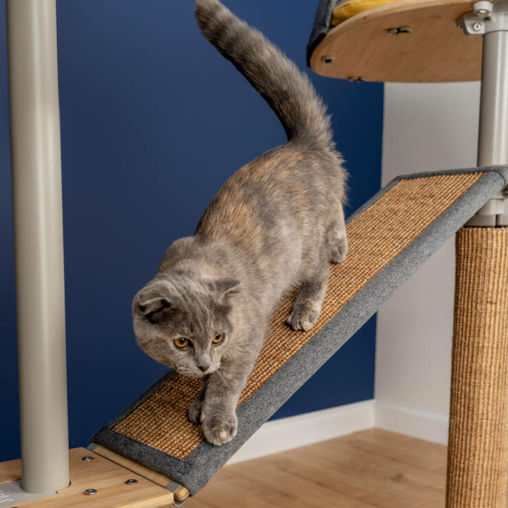 Gatto su Freestyle indoor pavimento al soffitto albero gatto piattaforma con sisal sostituibile