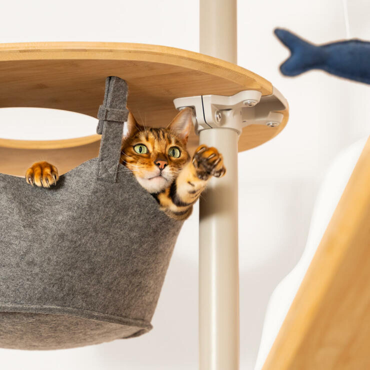 Kat i hængekøje af filt på platform og leger med fiskelegetøj i Freestyle indendørs kattetræ fra gulv til loft