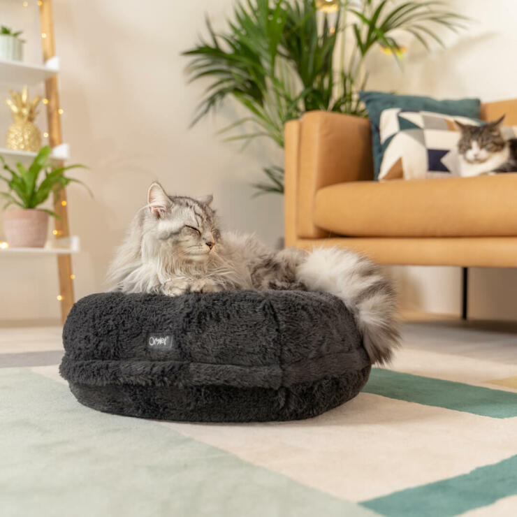 En kat, der slapper af i den luksuriøse, bløde, grå Maya Donut katteseng.