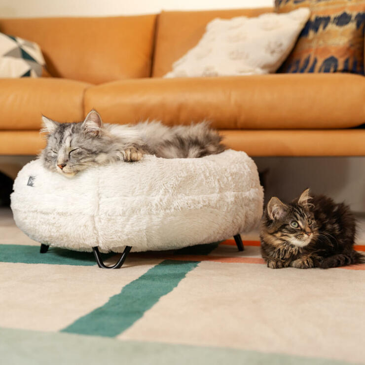Cats resting on the luxurious Soft Donut Cat Bed in Snowball White colour with Metal Black Hairpin Designer Feet