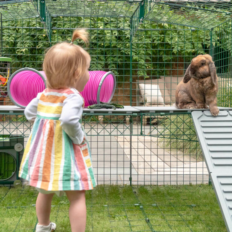 Jente ser på kanin på Zippi plattformer inne i Omlet Zippi kanin lekegrind