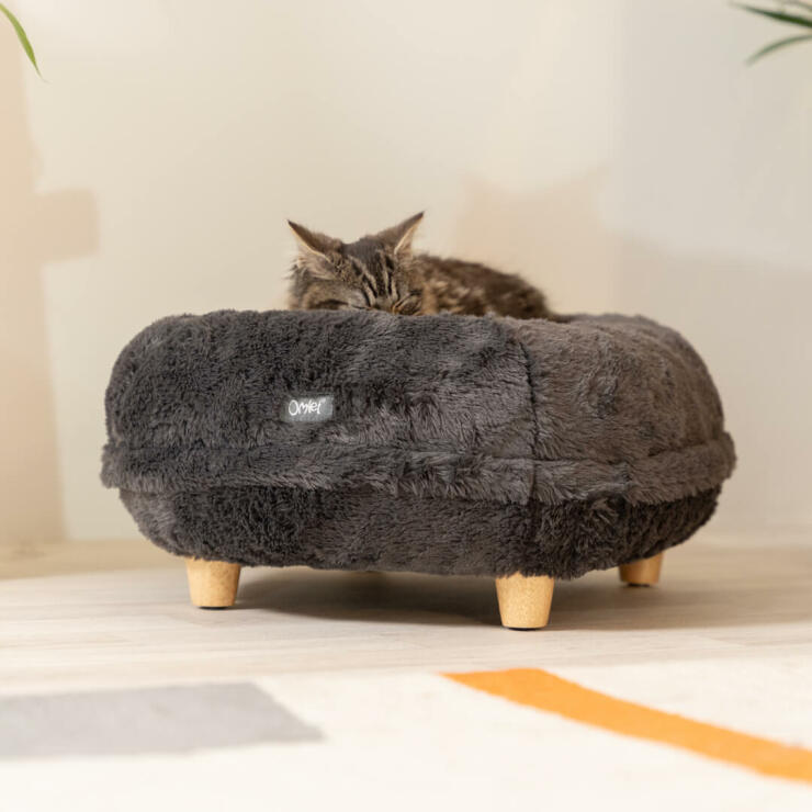 Cat lying on earl grey donut cat bed with wooden customisable feet