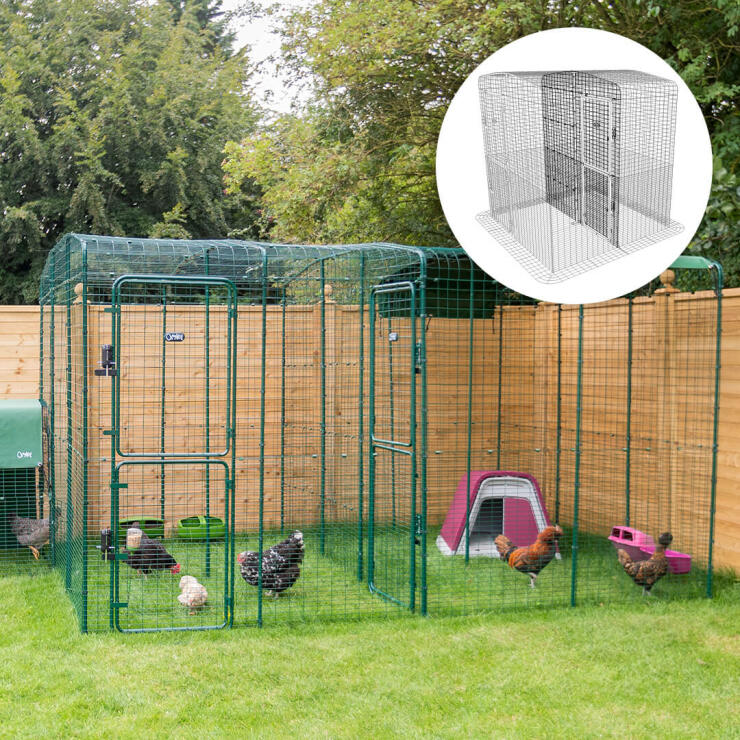 Puedes incluso dividir tu recinto exterior, esto viene genial si estás criando o introduciendo gallinas nuevas