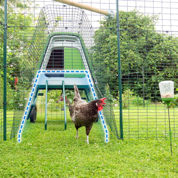 Du kan forbinde ethvert Eglu hønsehus til din walk-in gård ved hjælp af forbindelsessæt.