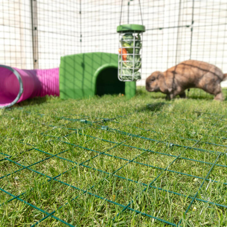 Entscheiden Sie sich für einen geschlossenen Zippi Kaninchen Auslauf mit Dach und Unterbodengitter, damit Ihr Haustier sich den ganzen Tag sicher bewegen und spielen kann.
