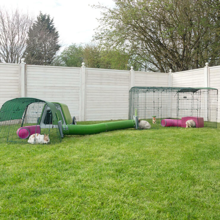 You can extend both the width and length of your Zippi Rabbit Run to carry on creating your ultimate rabbit playground!