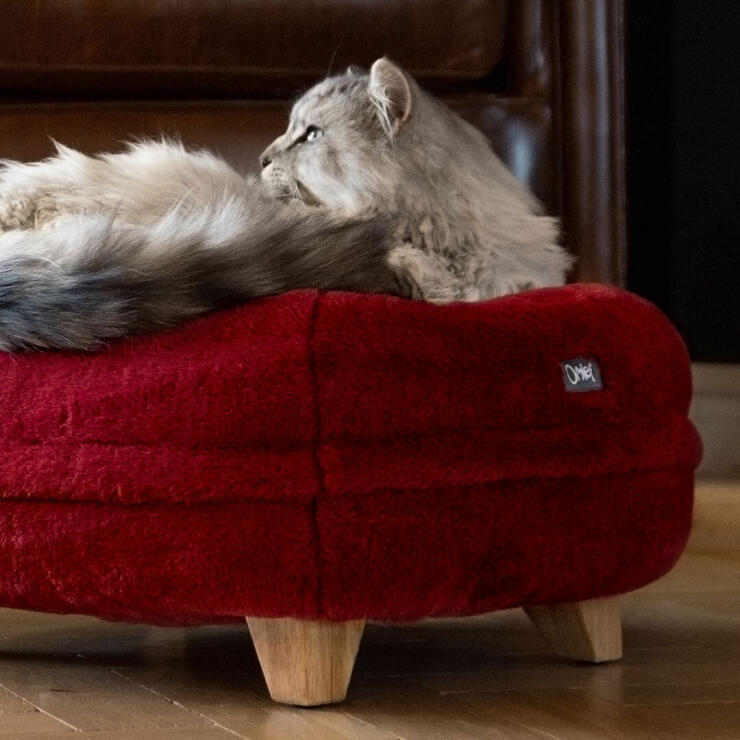 Vælg mellem en række farver og sengeben for at tilpasse den perfekte donut seng til din kat.
