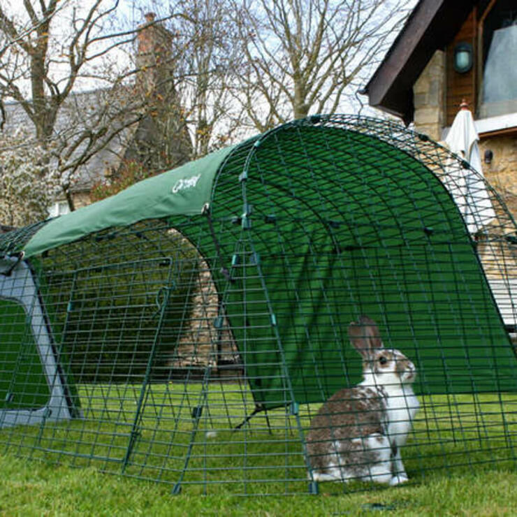 Un coniglio nel cortile della conigliera Eglu Go 