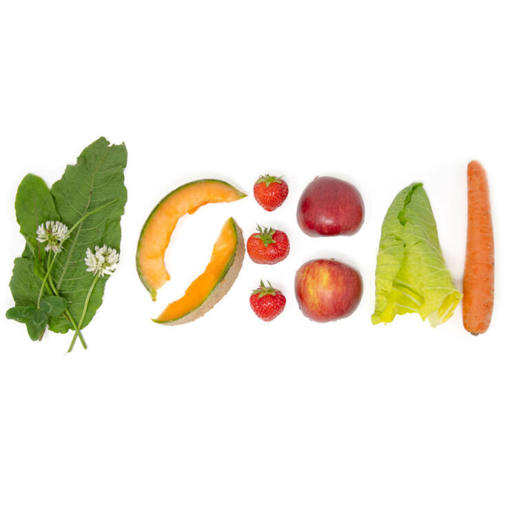 Des légumes et des fruits à ajouter dans le support de friandises pour petits animaux Caddi 