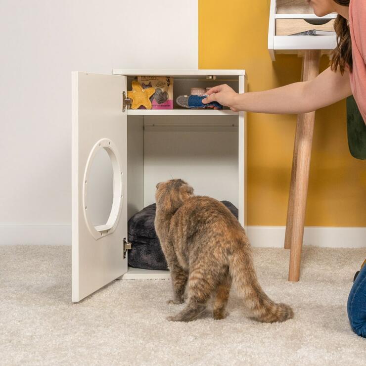 Gato inspeccionando Maya casa del gato con la puerta abierta