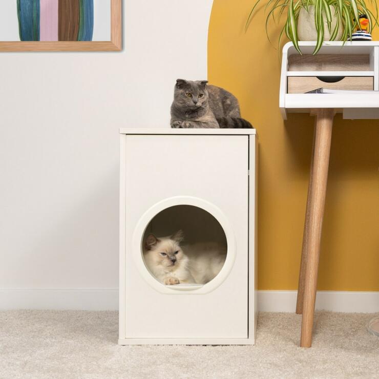 Gatto bianco birichino dentro Omlet Maya casa del gatto con gatto grigio seduto sopra