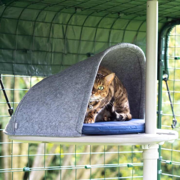 Gato jugando a esconderse en la guarida del sistema de árbol para gatos de exterior Freestyle.