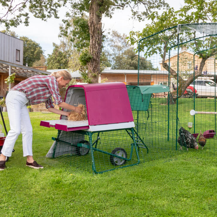 The raised height of the Eglu Go UP chicken coop is really practical, and your hens will love roosting up off the ground.