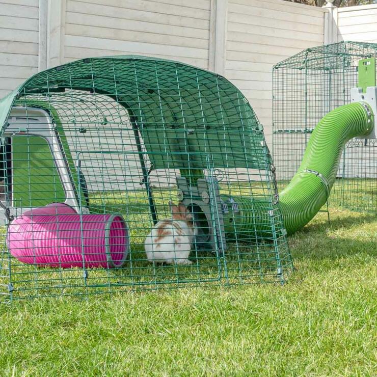 Trädgård med grönt Eglu Go kaninhage, kaninhage, kaninhage utomhus och Zippi tunnlar för kaniner
