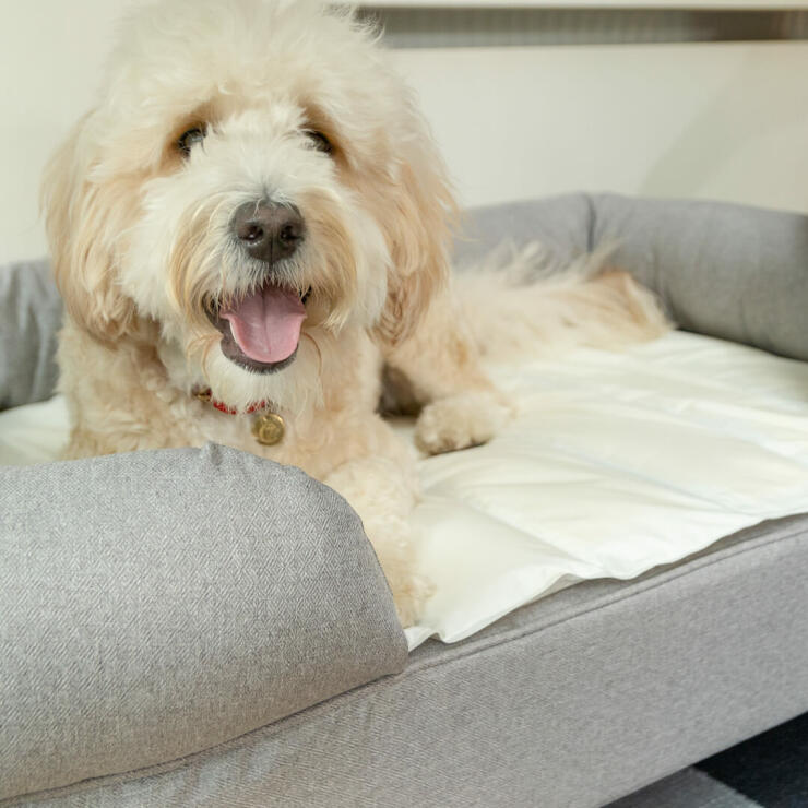 Für ein luxuriöses Nickerchen integrieren Sie die Kühlmatte Ihres Hundes in das Memory-Foam Bett von Omlet, indem Sie die Ecken einfach unter die Polster-Rollen schieben.