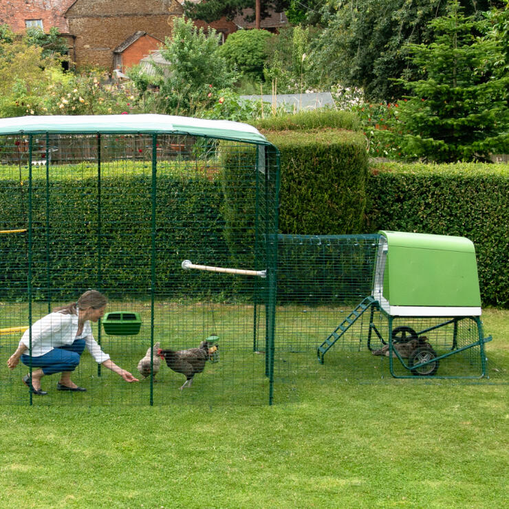 L’enclos sécurisé peut être agrandi quand bon vous semble. Vous pouvez aussi le connecter à un grand enclos pour créer un véritable palais pour poules.