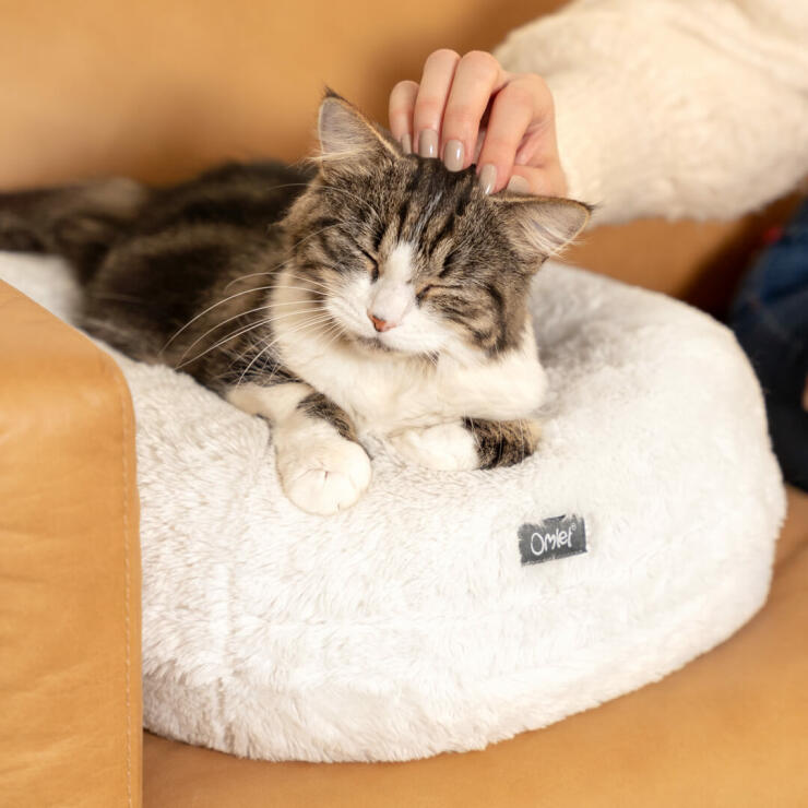 Kattsängen är formad som en donut vilket ger din katt stöd när den sover gott i den varma och mysiga sängen.