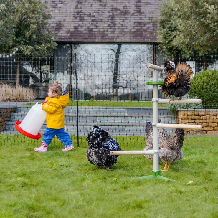 Ein Kind, das sich an der Gesellschaft seiner Hühner im Garten erfreut