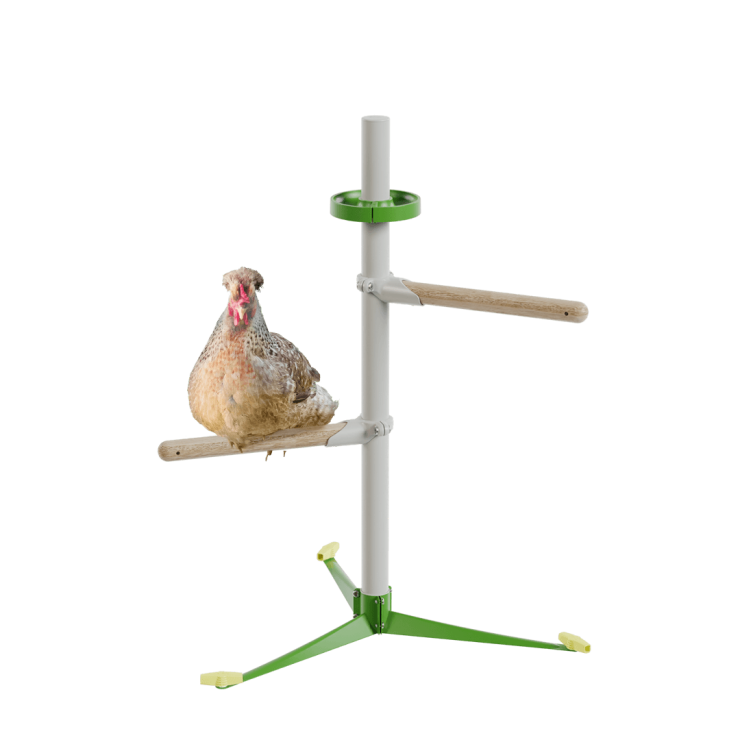 Freistehendes Hühnerstangensystem - Das Einsteiger-Set