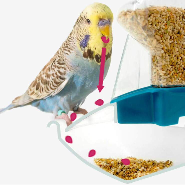 The revolutionary feeder is designed to catch any spillages of feed or husk