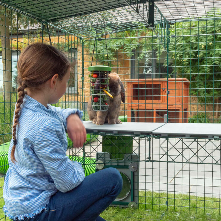Le Piattaforme Zippi offrono ai bambini un modo nuovo per avvicinarsi ai loro animali e creare un legame .