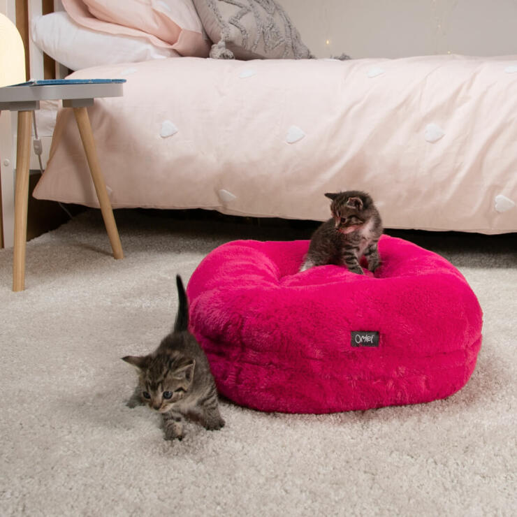 gatitos jugando en una cama para gatos maya donut súper suave de color rosa fucsia