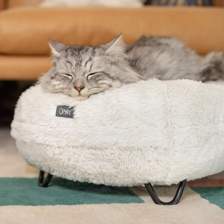 Kat, der sover på en snehvid, blød, luksuriøs Maya Donut katteseng med sorte hårnåle metalben.