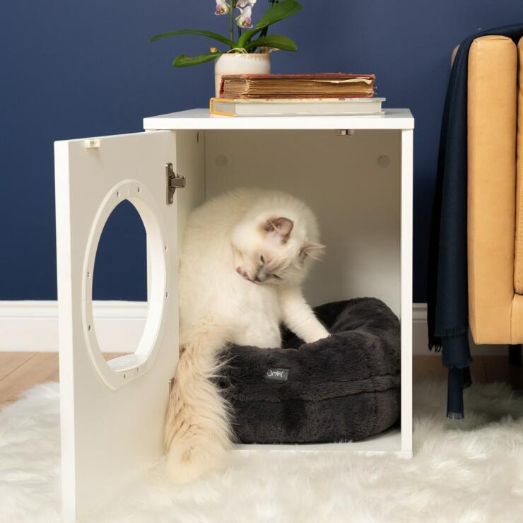 Gato blanco esponjoso sentado en Maya donut cama de gato en Maya casa del gato con la puerta abierta