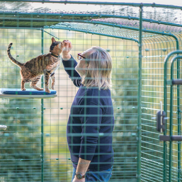 Mand klapper kat på Freestyle udendørs kattetræ i udendørs kattegård